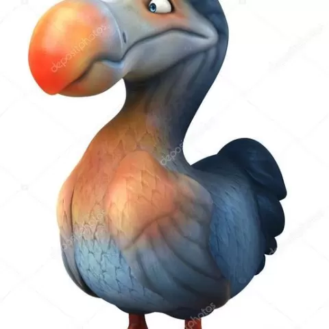 dodo bird