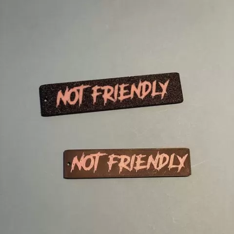 Not Friendly keychain