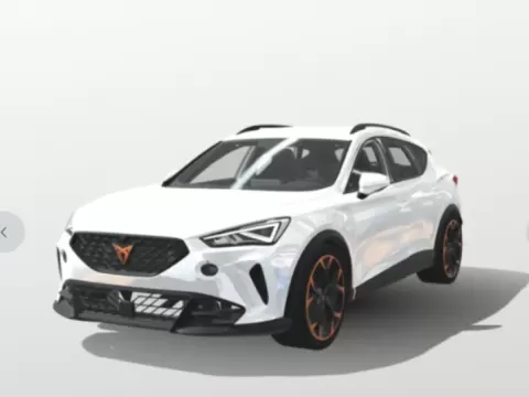 Cupra Formentor - neagww