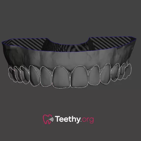 Dental proportion guidelines
