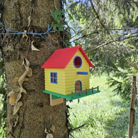 Bird house