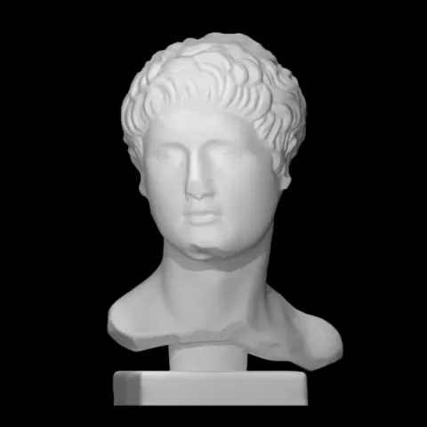 A Roman by Scan The World