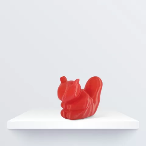 Squirrel by BQ 3D