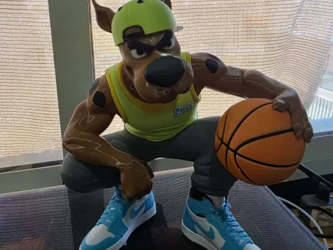 Scooby basket