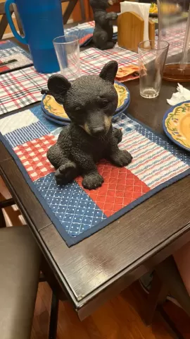 Bear
