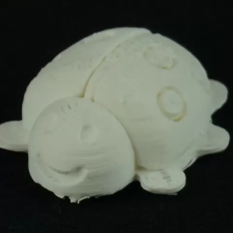 Ladybug - Marienkäfer by Christian