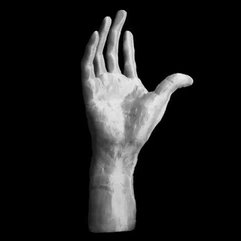 Right Hand of Pierre and Jacques de Wissant at The Musée Rodin, Paris by Aaron Humphreys