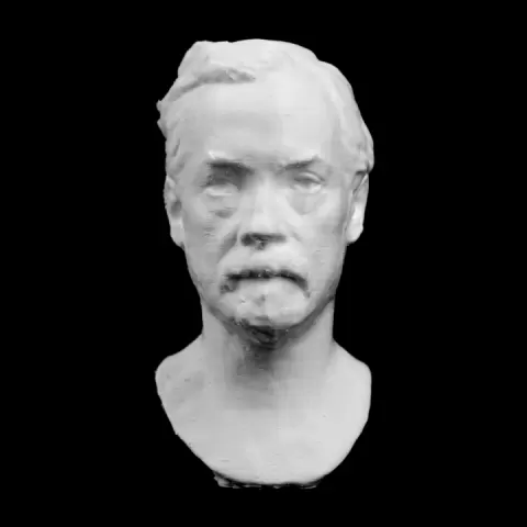 Bust of a Man at the The Réunion des Musées Nationaux, Paris by RMN
