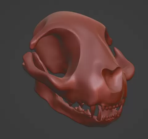 Feline Cat Skull