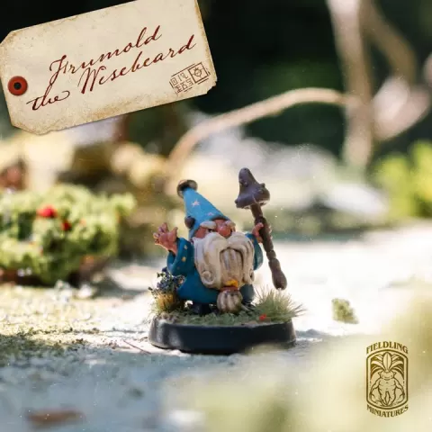 Gnome Wizard - Gnomes of the Whistling Woods by Tine Fieldling