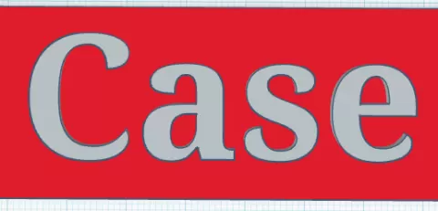 Case shield