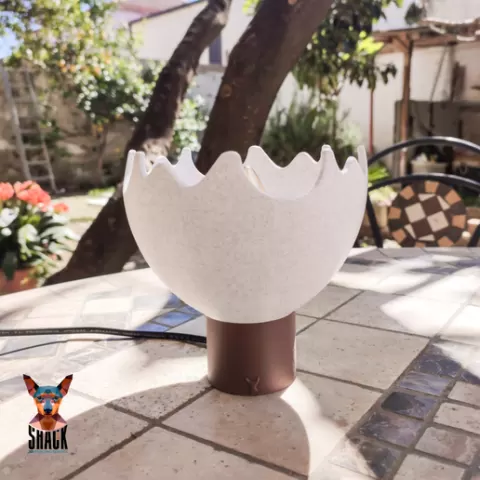 Egg Lamp!