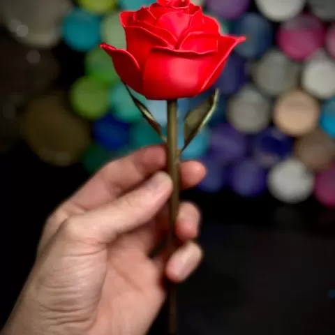 Rose by Billy Hooper