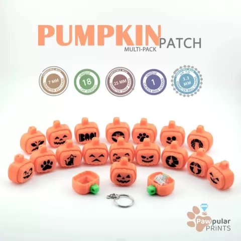 Pumpkin Patch Multi-Pack - Fidget Keychain [Private Use Only]🎃 by Pawpular Prints
