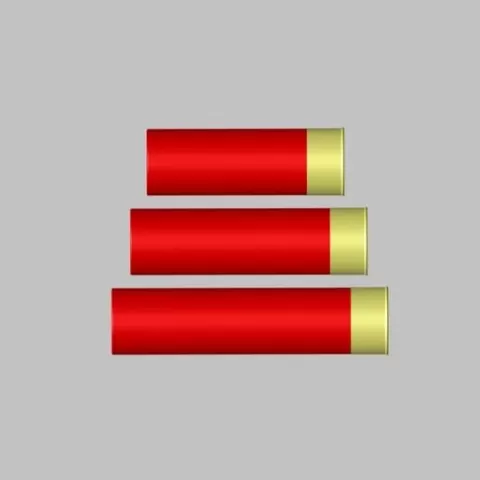 .12 cal round