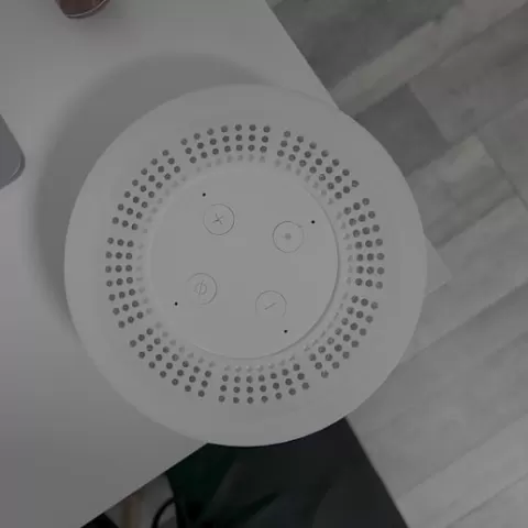Alexa Echo