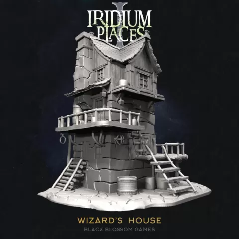 IDP01S13 Wizard's House :: Iridium Places 1 :: Black Blossom Games by Black Blossom Games