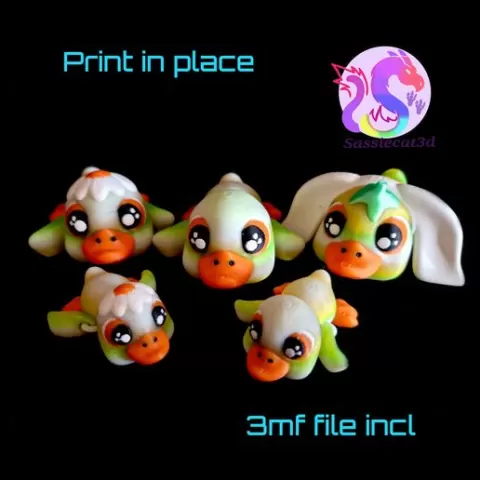 Hatchlings Ducks (Personal Use)