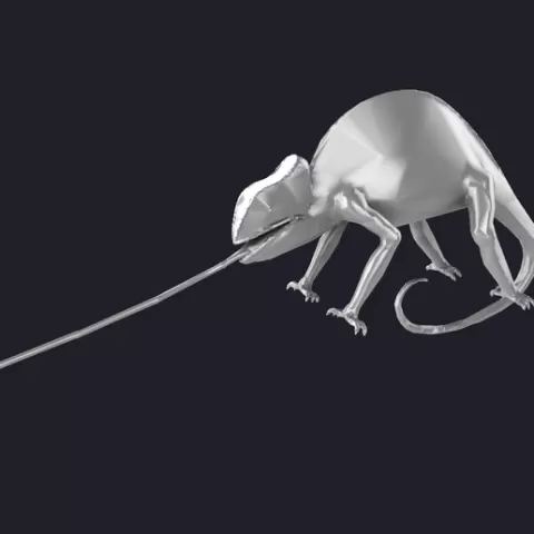 Chameleon 3D MODEL