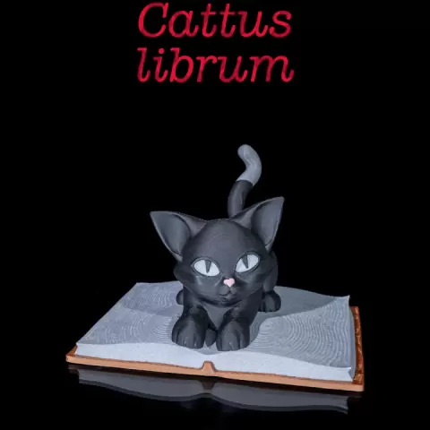 Cattus Librum by Stlflix