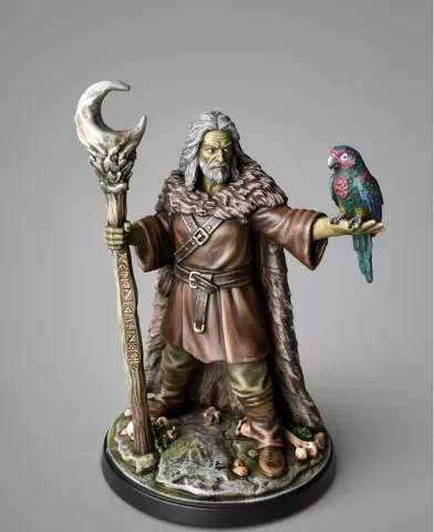 Wizard with parot.3mf
