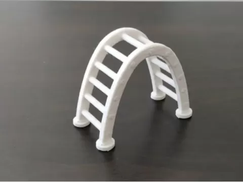 Playground Ladder