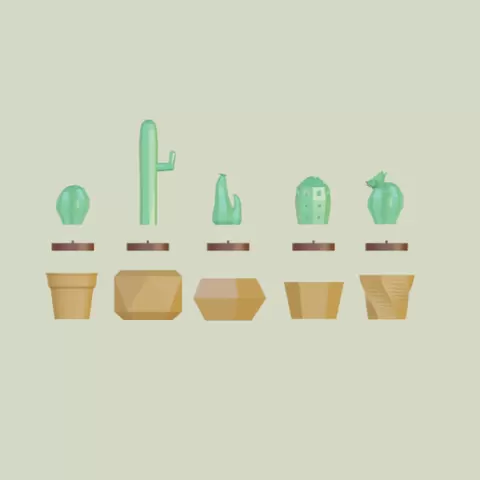 Succulent Builder