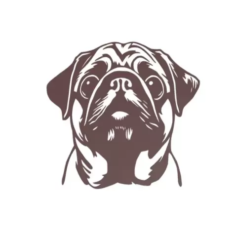 Wall art - adorable paws