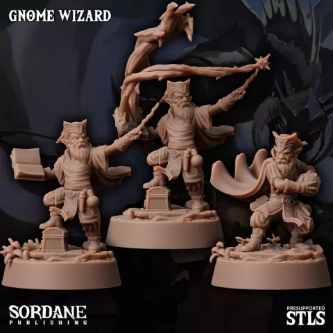 Gnome Wizard - Pirate by Sordane Publishing
