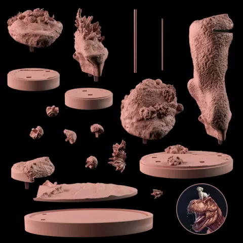 Marine life bases - Dino and Dog April 2023 FREE model by Dino and Dog