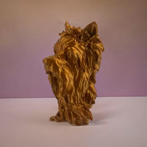 Yorkshire head