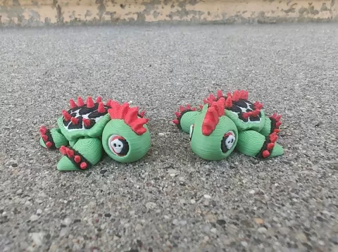 Punk Turtle