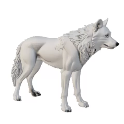 Realistic Wolf