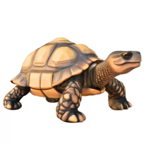 Stylized Tortoise
