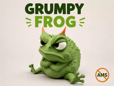 Grumpy Frog