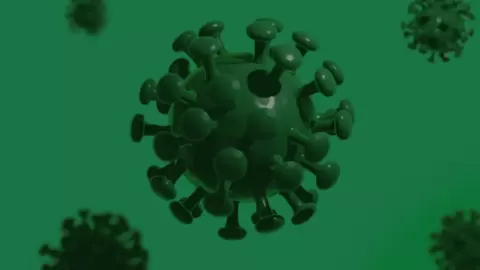 (Corona)-Virus