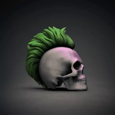 Long Mohawk -Punk Skull