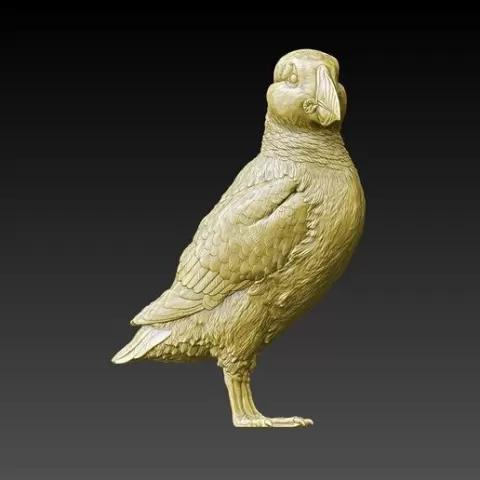 Atlantic Puffin model