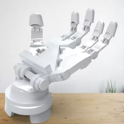 Robotic Hand