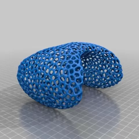 Thyroid science project model - Dog808