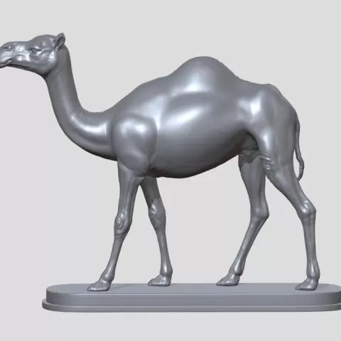 camello - kerpy