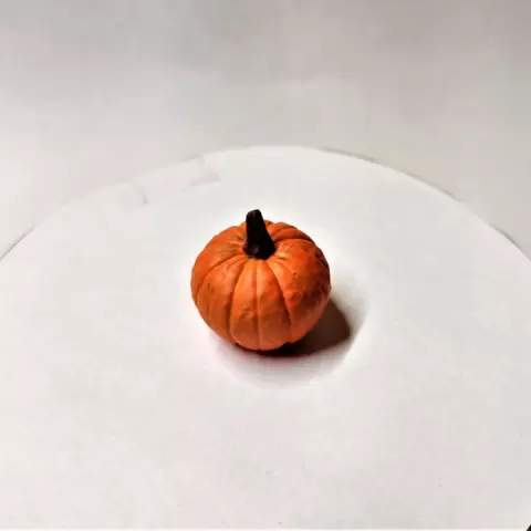 Pumpkin by Eric Rubeck