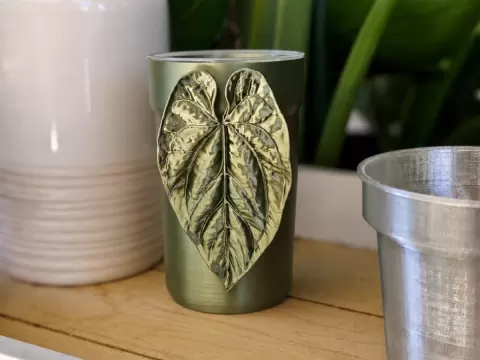 Anthurium Ace of Spades Planter