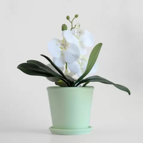 Classic Planter with Saucer - basic