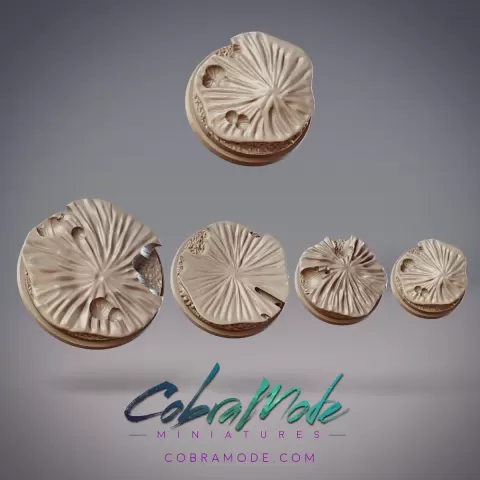 Fungal Platform Base Pack (4pcs)