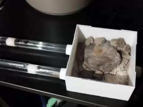 Antkeeping Starter Outworld