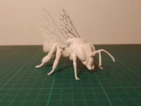 Honey Bee Model