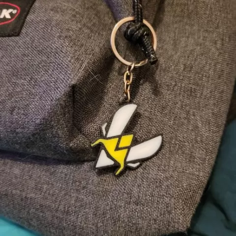Team vitality key ring
