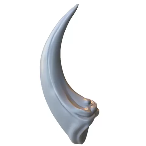 Fantasy Claw Horn