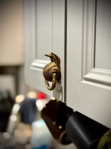 snail drawer pull